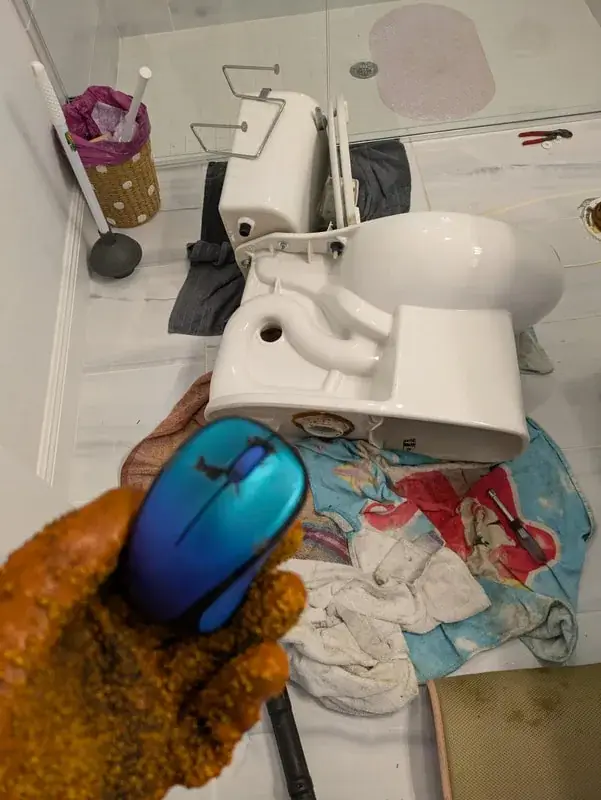 Computer mouse retrieved from a toilet drain next to a removed toilet